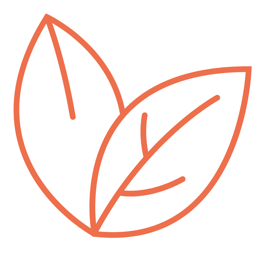 Alt Image
