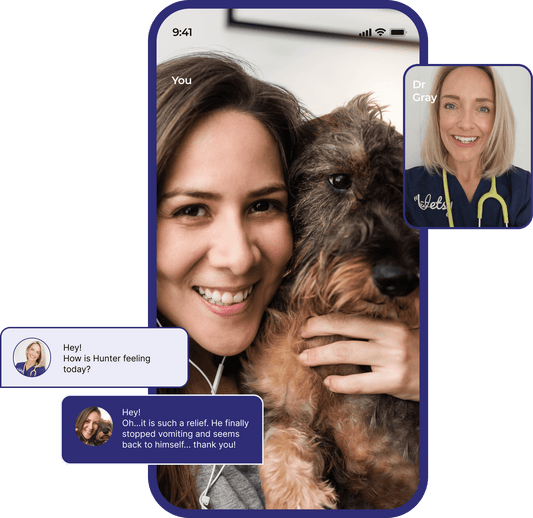 Exclusive Offer: Vet Consultation to Maximise Your Dog’s Joint Health
